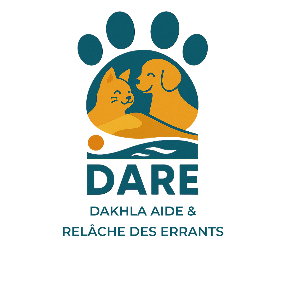 DARE Dakhla Logo